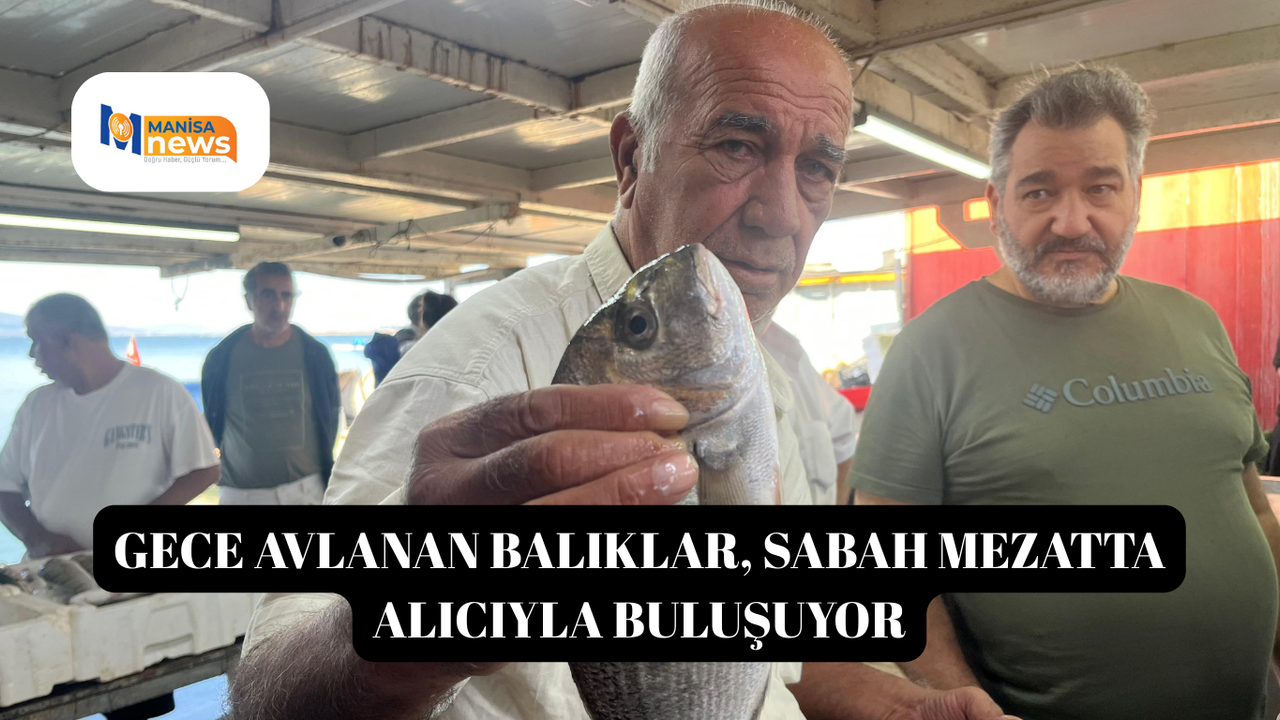 Gece avlanan balıklar, sabah mezatta alıcıyla buluşuyor