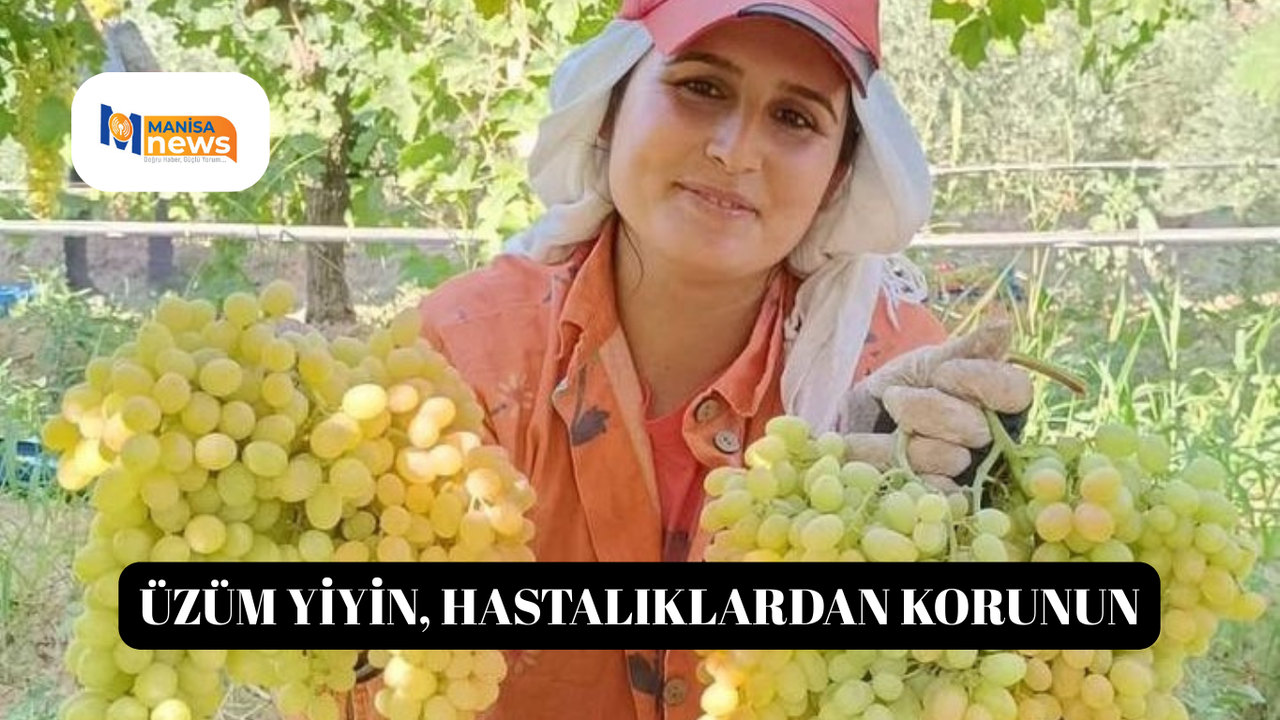 Üzüm yiyin, hastalıklardan korunun