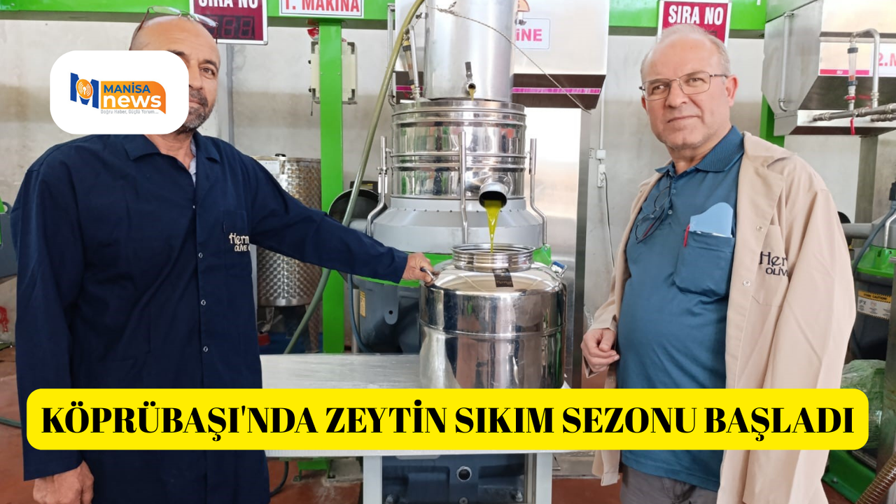 Köprübaşı'nda zeytin sıkım sezonu başladı