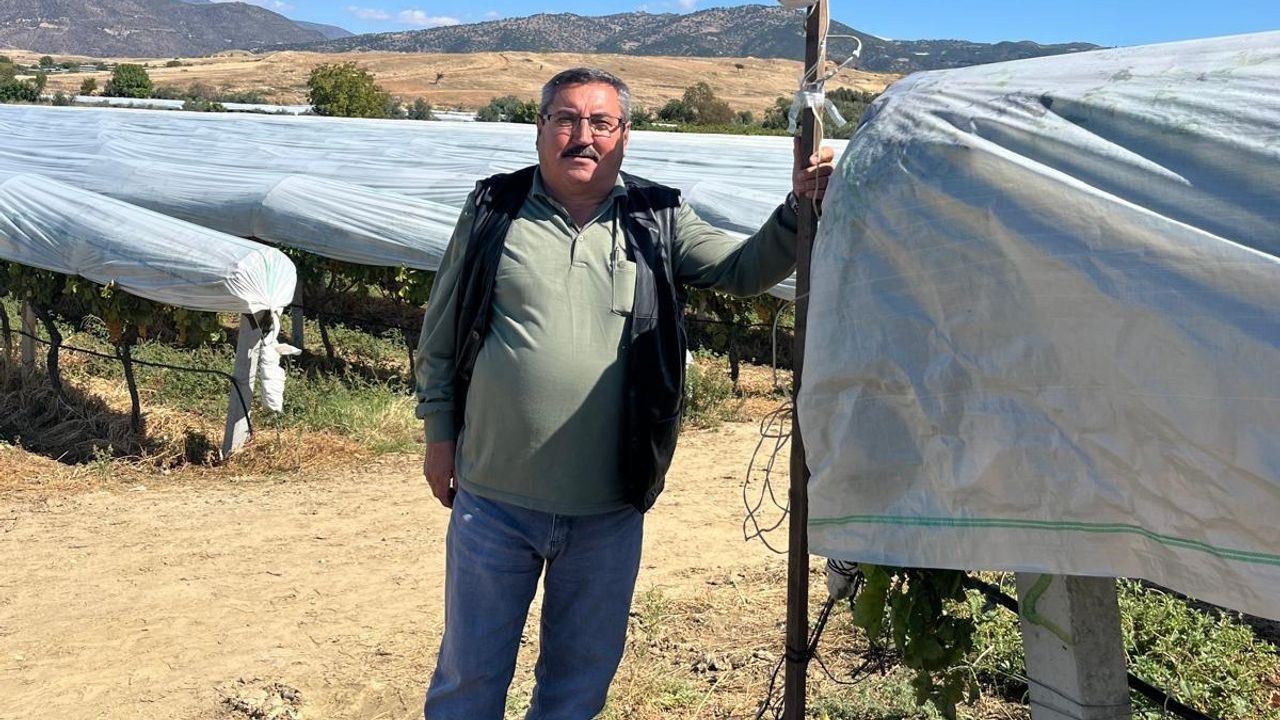 Üzüm bağını hırsızlara karşı kamera ile koruyor