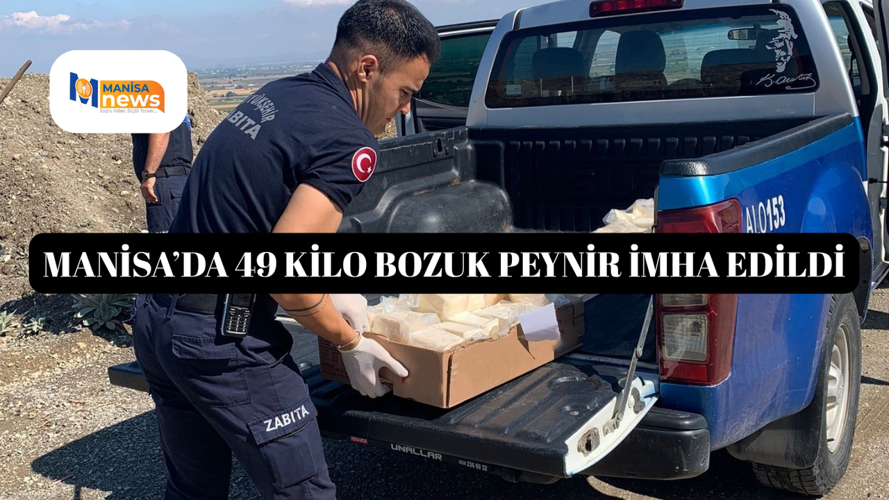 Manisa’da 49 kilo bozuk peynir imha edildi