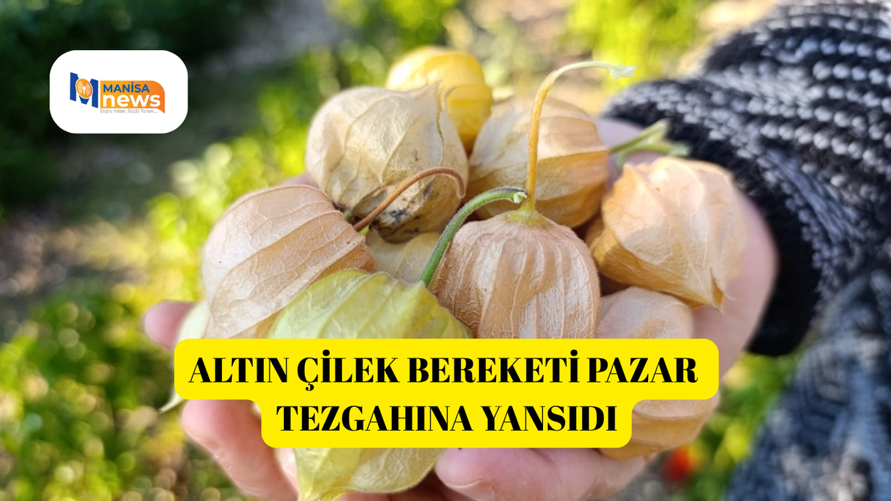 Altın Çilek bereketi pazar tezgahına yansıdı