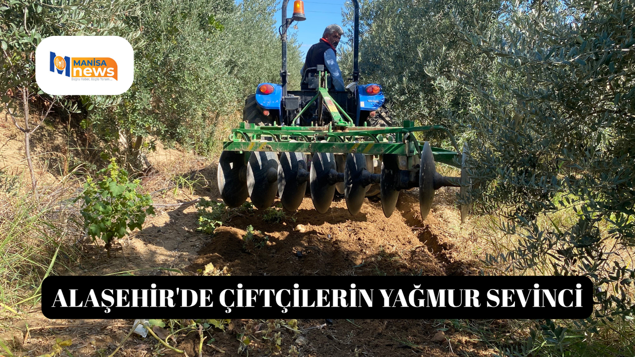 Alaşehir'de çiftçilerin yağmur sevinci