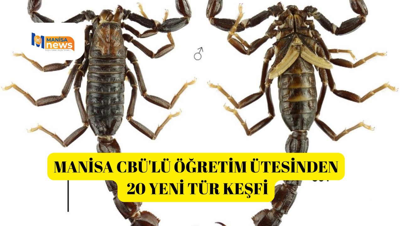 Manisa CBÜ'lü öğretim ütesinden 20 yeni tür keşfi