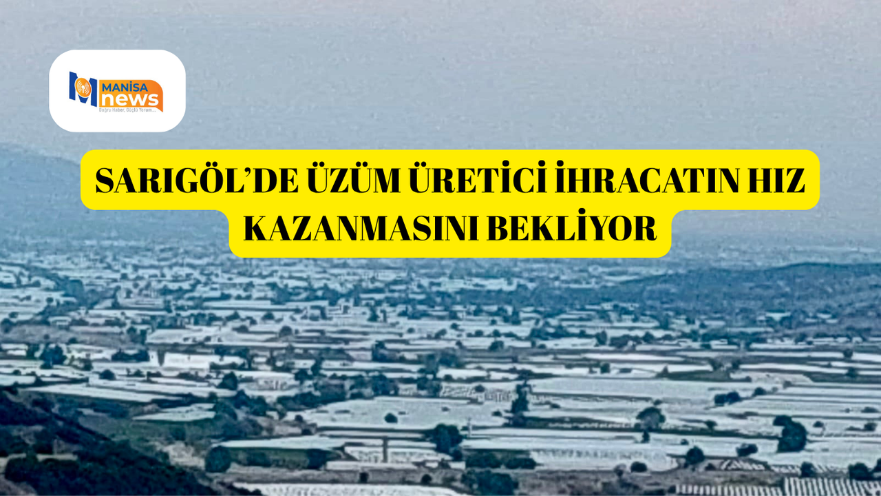 Sarıgöl’de üzüm üretici ihracatın hız kazanmasını bekliyor