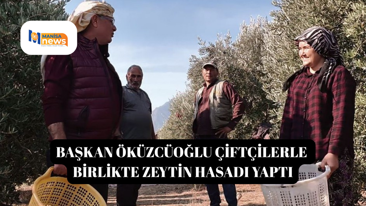 Başkan Öküzcüoğlu çiftçilerle birlikte zeytin hasadı yaptı