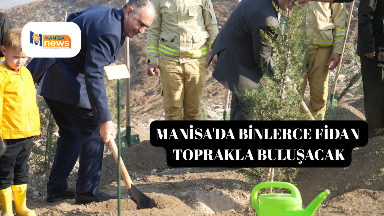 Manisa'da binlerce fidan toprakla buluşacak