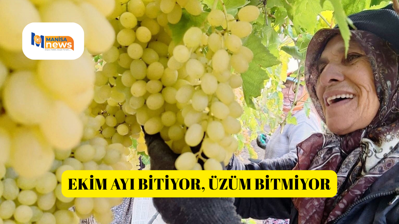 Ekim ayı bitiyor, üzüm bitmiyor