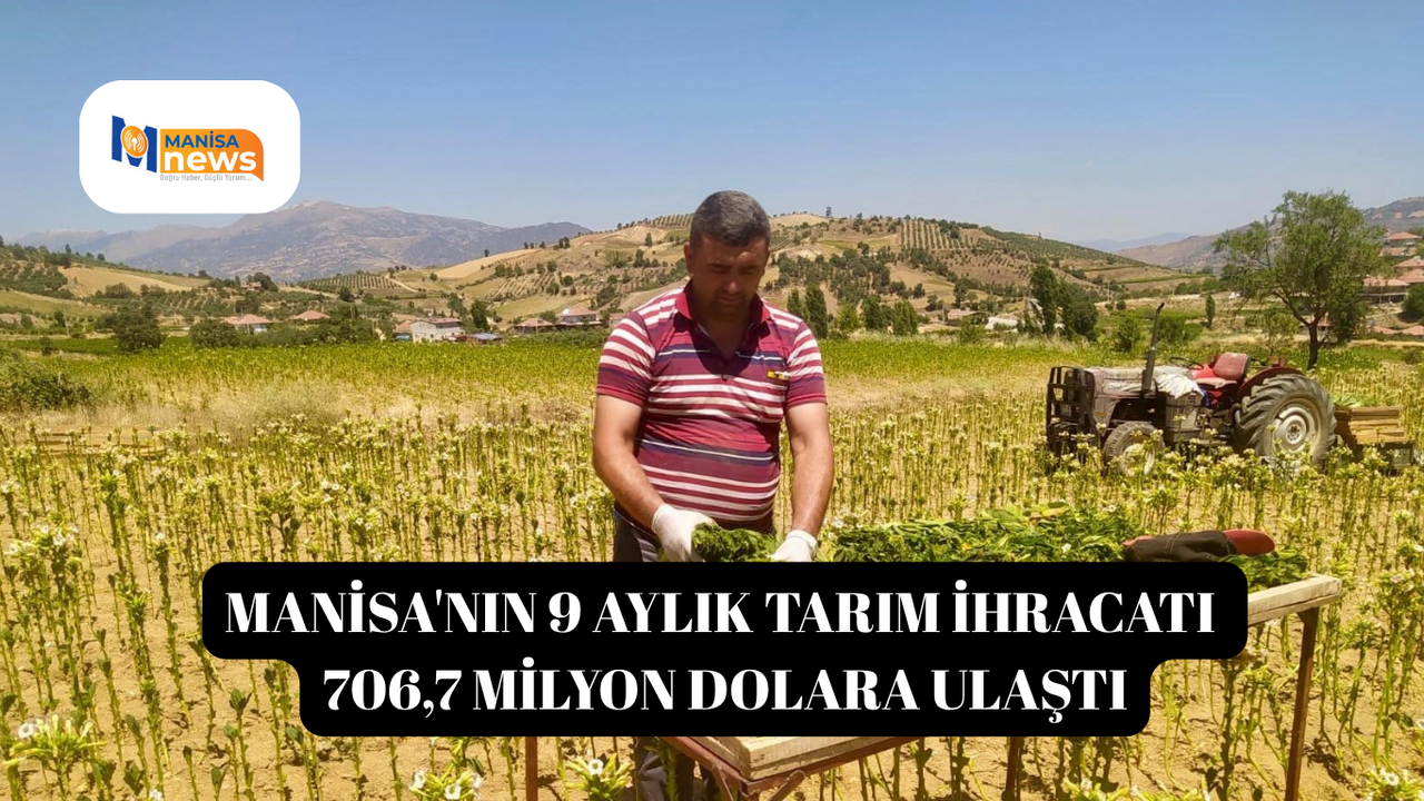 Manisa'nın 9 aylık tarım ihracatı 706,7 milyon dolara ulaştı