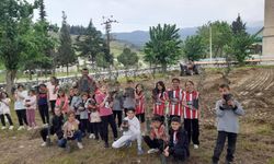 Minik eller okul bahçesine zeytin dikti