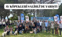 Av köpekleri Salihli’de yarıştı