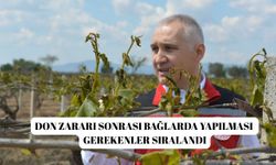Don zararı sonrası bağlarda yapılması gerekenler sıralandı