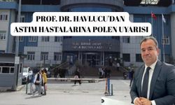 Prof. Dr. Havlucu'dan astım hastalarına polen uyarısı