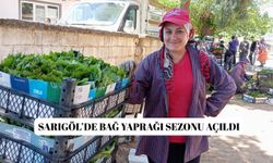 Sarıgöl’de bağ yaprağı sezonu açıldı