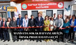 Manisa’da sokak hayvanları için örnek proje hayata geçti