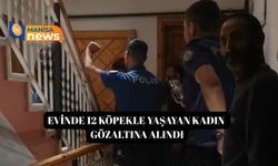 Evinde 12 köpekle yaşayan kadın gözaltına alındı