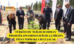 Türkiye'de "81 İlde 81 Orman" projesi kapsamında 81 ilde 2,2 milyon fidan toprakla buluşacak