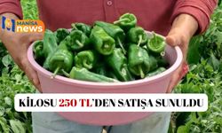 Acısıyla ünlü Emcelli Biberi kilosu 250 TL'den piyasaya çıktı