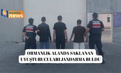 Ormanlık alanda saklanan uyuşturucuları jandarma buldu