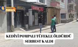 Kediyi pompalı tüfekle öldürdü serbest kaldı