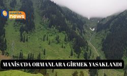 Manisa'da Orman Yasağı