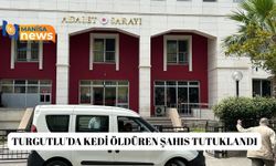 Turgutlu'da kedi öldüren şahıs tutuklandı