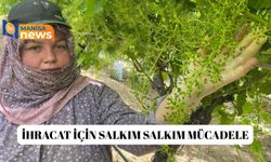 İhracat için salkım salkım mücadele