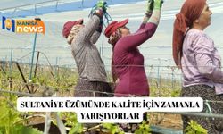 Sultaniye üzümünde kalite için zamanla yarışıyorlar