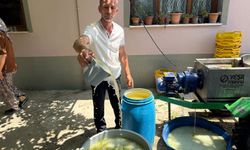 Sarıgöl'de bağlarda kesilen koruklar ekonomiye kazandırılıyor