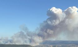 Manisa'nın farklı bir noktasında daha orman yangını çıktı