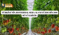 Türkiye'nin jeotermal sera alanı yüzde bin 500 büyüyebilir