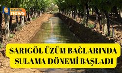 Sarıgöl üzüm bağlarında sulama dönemi başladı