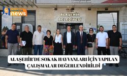 Alaşehir’de sokak hayvanları için yapılan çalışmalar değerlendirildi