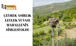 Çeyrek asırlık leylek yuvası mahallenin simgesi oldu
