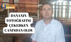 Sattığı kurbanlık dananın fotoğrafını çekerken canından oldu
