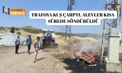 Trafoya kuş çarptı, alevler kısa sürede söndürüldü