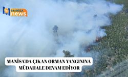 Manisa'da çıkan orman yangınına müdahale devam ediyor