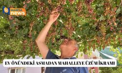 Ev önündeki asmadan mahalleye üzüm ikramı