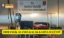 Ormanlık alanda kaçak kazıya suçüstü