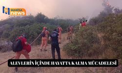 Alevlerin içinde hayatta kalma mücadelesi