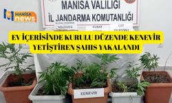 Ev içerisinde kurulu düzende kenevir yetiştiren şahıs yakalandı