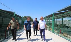 Başkan Akın’dan projelere yerinde inceleme