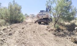 Yunusemre'de özel ağaçlandırma alanlarına bakım