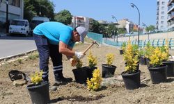 Turgutlu Belediyesi Park ve Bahçeler Müdürlüğü ekipleri kenti güzelleştiriyor