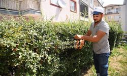 Yeşil bir Yunusemre için çalışmalar aralıksız devam ediyor
