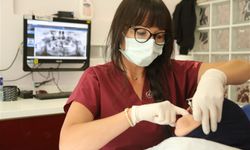 Manisa ADSM'de, implant uygulaması devam ediyor