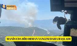 Manisa'da bir orman yangını daha başladı