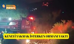 Keneyi yakmak isterken ormanı yaktı