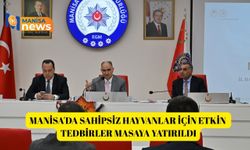 Manisa'da sahipsiz hayvanlar için etkin tedbirler masaya yatırıldı