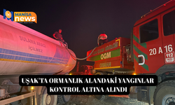 Uşak'ta ormanlık alandaki yangınlar kontrol altına alındı